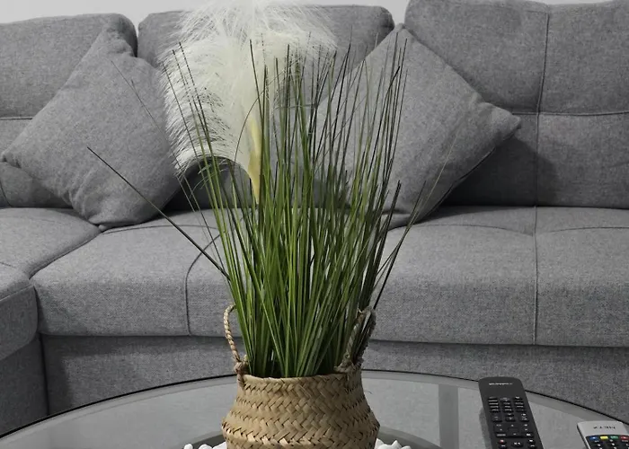 公寓 Evandrea Pelapais - Stylish In Kato *