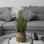 Apartment Evandrea Pelapais - Stylish In Kato *