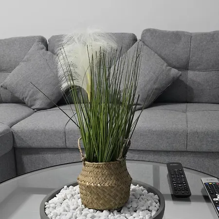 Apartment Evandrea Pelapais - Stylish In Kato *
